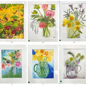 Selection of six original watercolours by Deryn Hardie Boys