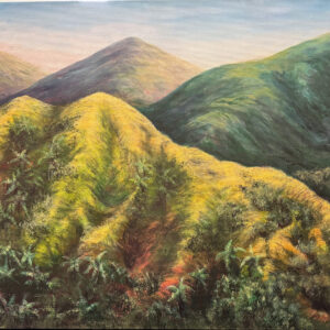 Ambrose's Thinking Place by Ruth Cooper