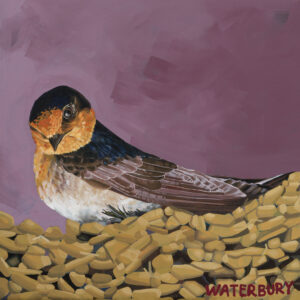 Warou (Welcome Swallow) by Stephanie Waterbury