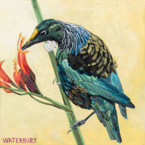 Tui by Stephanie Waterbury